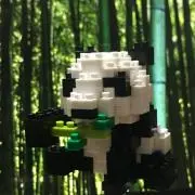 じんじんパパの画像