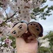 紫の画像