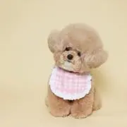 SR♡の画像