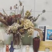 よっしー
