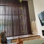なおきんぐ