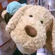 まっちゃの画像