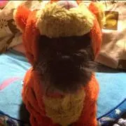ゆき
