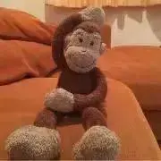 akkoの画像