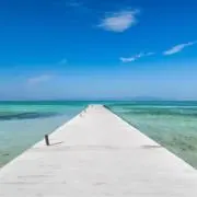 わんえなの画像