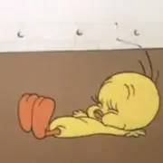 Nanaの画像