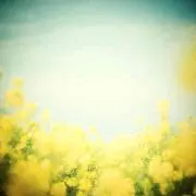 【発送日ご確認ください。】ふわりりの画像