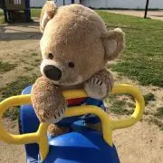 かもめの画像