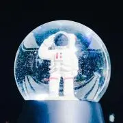 エビの画像