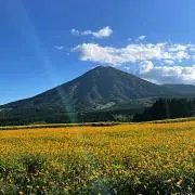 福岡生まれ福岡育ちの画像