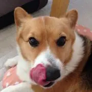 マルコ