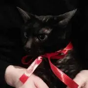neko《プロフィール必読》の画像