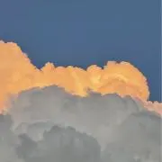 216の画像