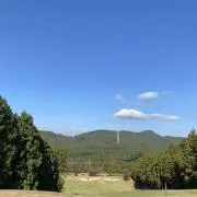めろんの画像