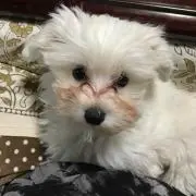 ちゃみ