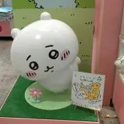 まきまき
