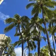☆チロル☆の画像
