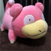 あららの画像