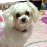 ミル