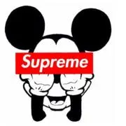 Supreme専科の画像