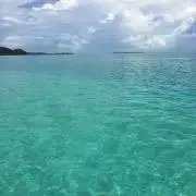 r.mの画像