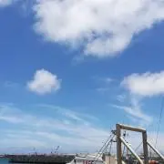 eagleの画像