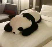まさまさの画像