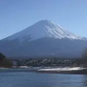 ヨッシーの画像