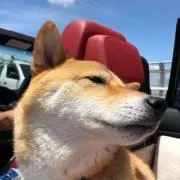 チャコ