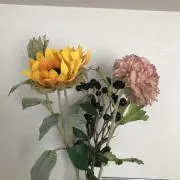 ヒロの画像