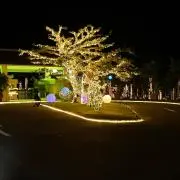 DARUMAの画像