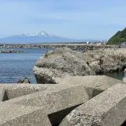 Cの画像