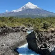 The Macallan 18年 空瓶 未洗净 - メルカリ