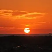 ザキの画像