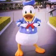 chiiiの画像