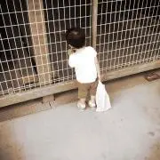 りんりん