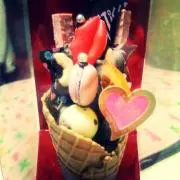 lovebirdの画像