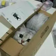みん