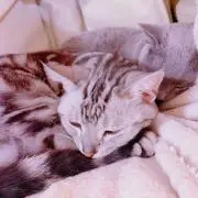 さっちゃんの画像