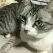 なはな 【プロフィール確認願います】の画像