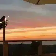 ちゅん太郎【☆即購入大歓迎☆】の画像