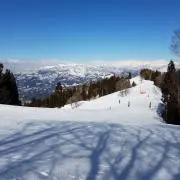 よっ(購入コメント前にプロフ見て下さい)の画像