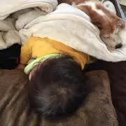はにこ。