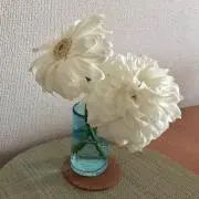 むぎ茶の画像