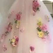 koyukiの画像