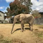 ヒーロー045の画像