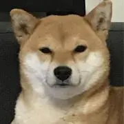 ラヤンの画像