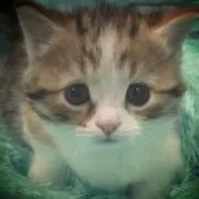 松竹梅子