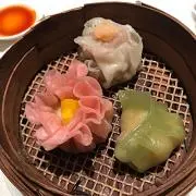 サクラの画像