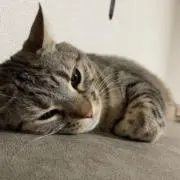 M.K商事